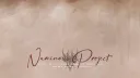 NUMINOUSproject splash