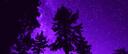 Wolfoz0's happy den :D Banner