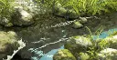 splash