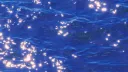 splash