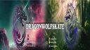 Dragonwolf skates's server splash