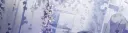 𝐂𝐨𝐳𝐲.𝐏𝐨𝐬𝐢𝐭𝐢𝐯𝐞 ˚ ༘ ♡ ⋆.˚ Discord server banner