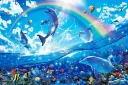 splash
