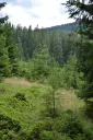 Streamer Paradies splash