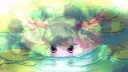 splash