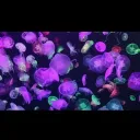 Genderfluid Jellyfish splash
