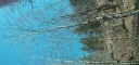 Eð & Cats Discord server banner
