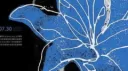 ๐๐๐ ๐ต๐๐๐๐ ๐ผ๐๐๐๐๐๐๐๐๐ ๐๐๐๐๐๐๐๐ข ๐๐๐๐๐๐ Discord server banner