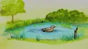 splash