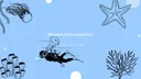splash