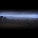 Battle Royale Games Banner