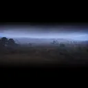 Battle Royale Games Banner