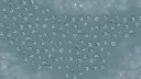 splash