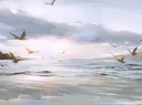 splash