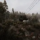 splash