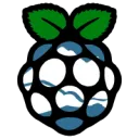 The Raspberry Pi Club BTC Banner