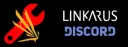Linkarus — ICARUS modding splash