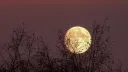 🌑✧. ┊ The Darkening Moon splash