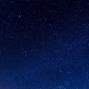  Midnight Furs  Banner