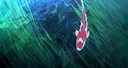 splash
