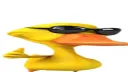 🦆Duck Zone🦆 splash