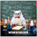 Biolchemiczny Zakątek splash