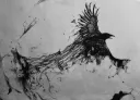 splash