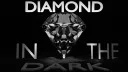 Diamond in the Dark Community Server splash