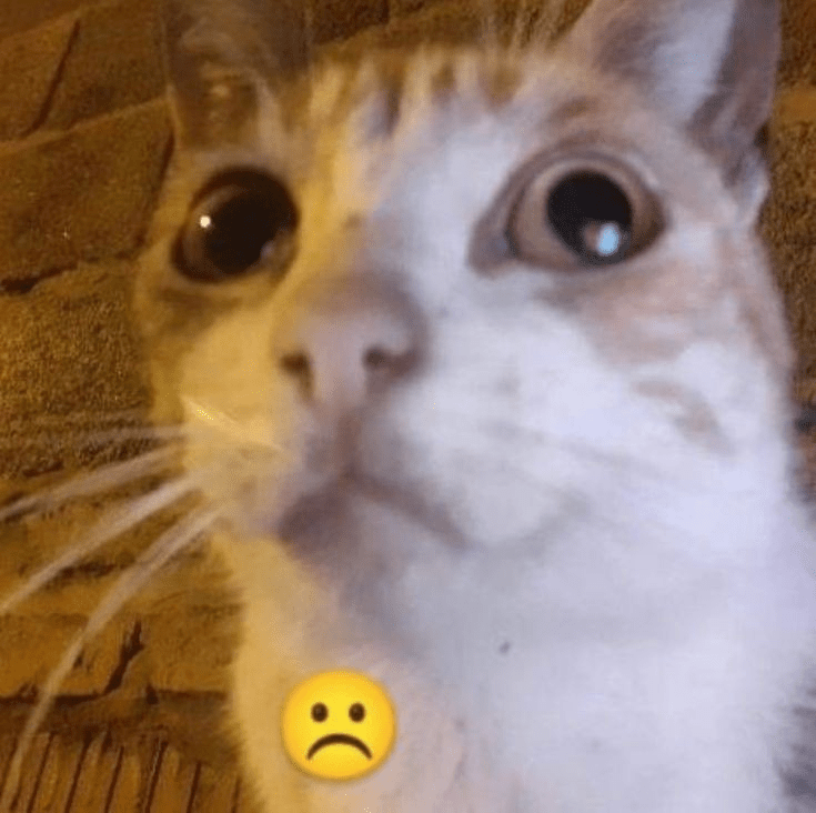 Tristón Discord sticker