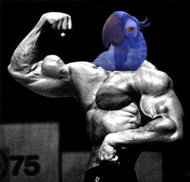 Giga Chad Blu! Discord sticker