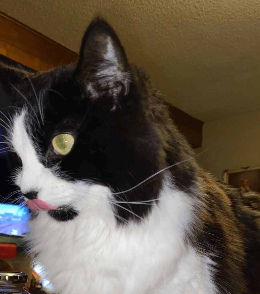 gucci mlem Discord sticker