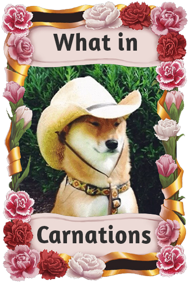 What in Carnations Discord sticker