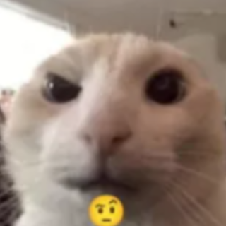 bro? Discord sticker