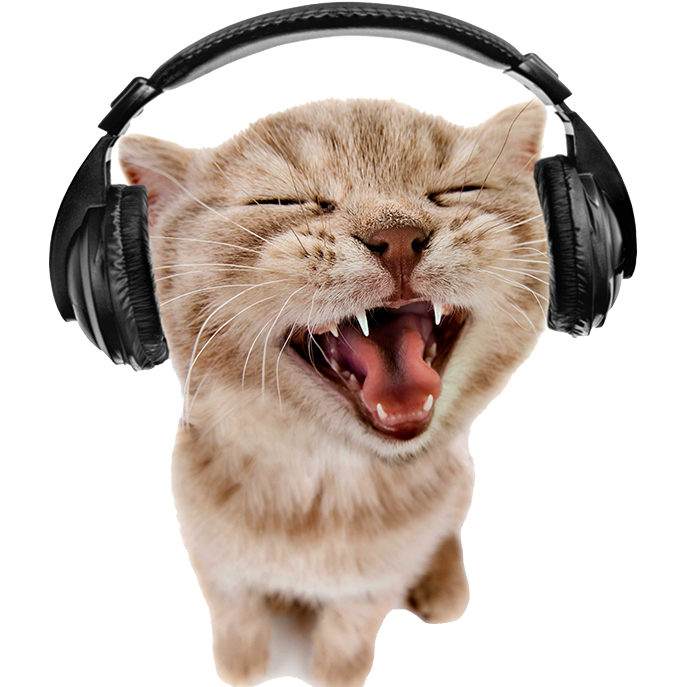 Music Cat Discord sticker