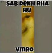 Sab dekh raha hoon vmro