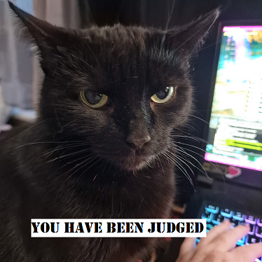 You Have Been Judged Discord sticker