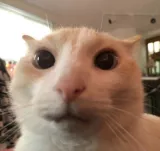 okay Discord sticker