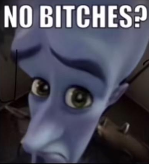 no bitches? .gg/wants