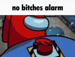 no bitches Discord sticker