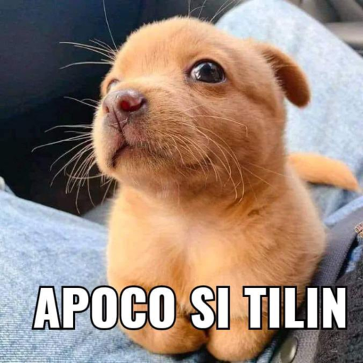 Apoco si tilin Discord sticker