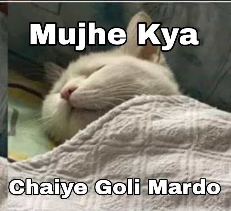 Mujhe Kya  Discord sticker