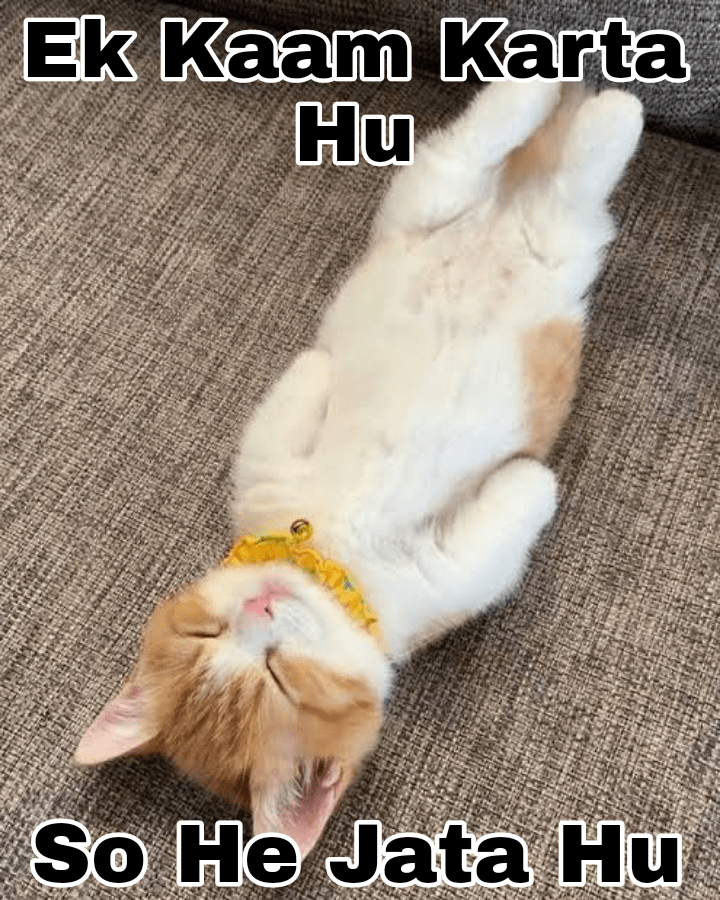 Sone De Salle  Discord sticker