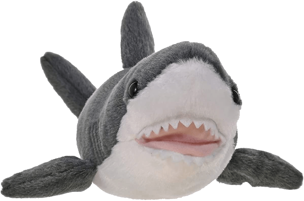 shark Discord sticker