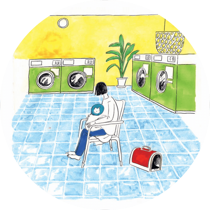watch Discord sticker