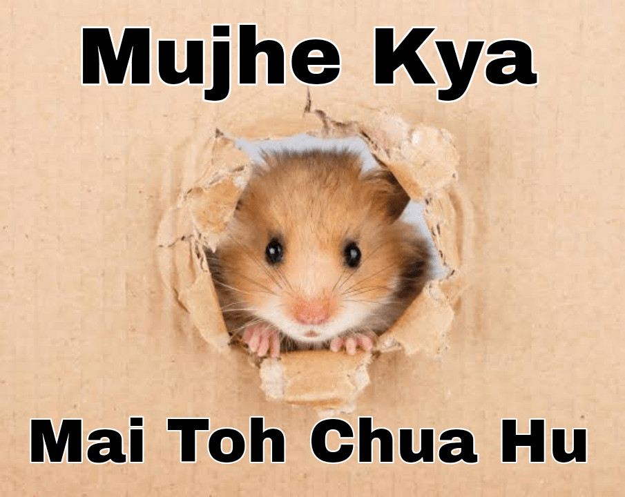 Mai toh chua hu  Discord sticker