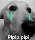pipipi  | .gg/programacion Discord sticker
