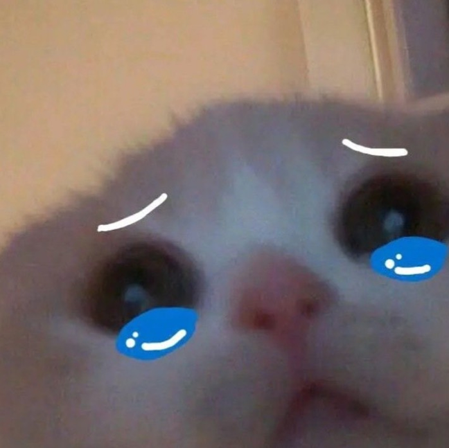 Sadcat Discord sticker