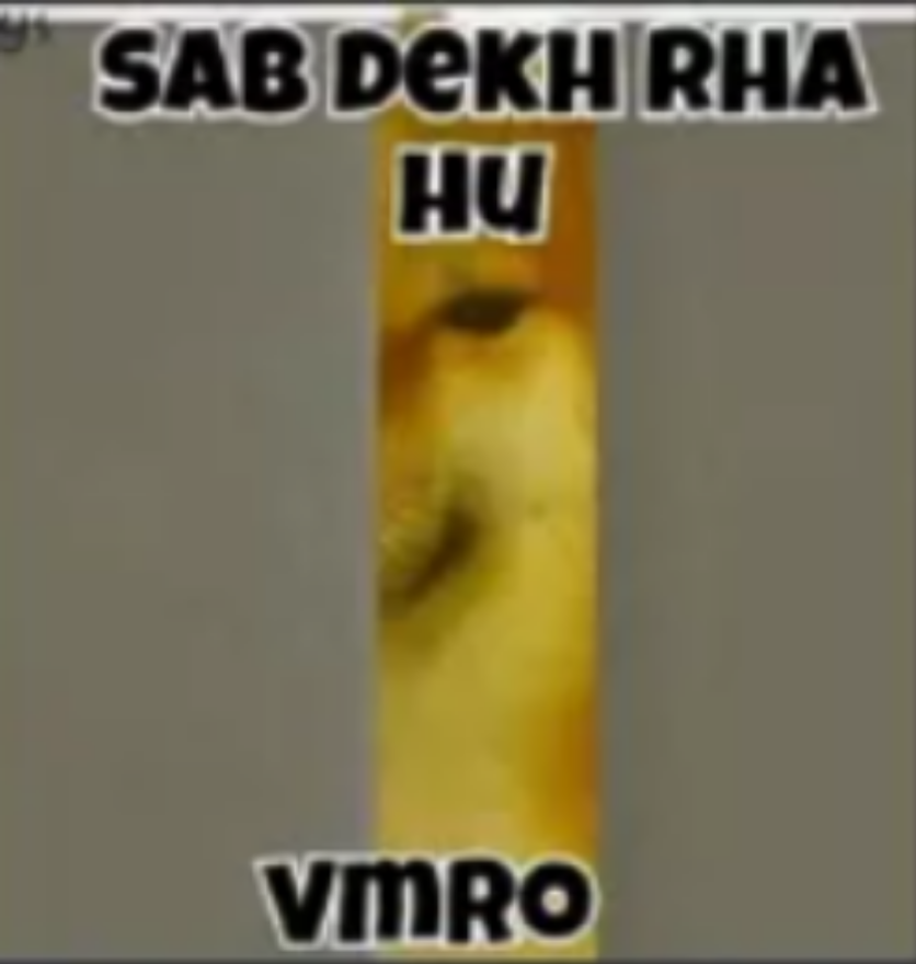 Sab Dekhra hu Vmro Discord sticker