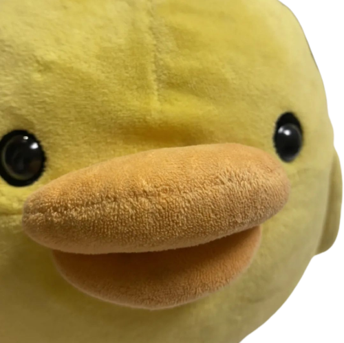duck stare Discord sticker