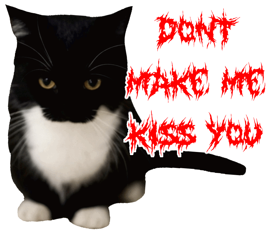 dont make me kiss you